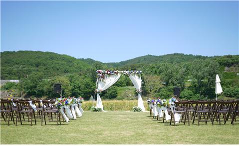 하중도 작은 결혼 공간(2017년 청보리밭 결혼식)