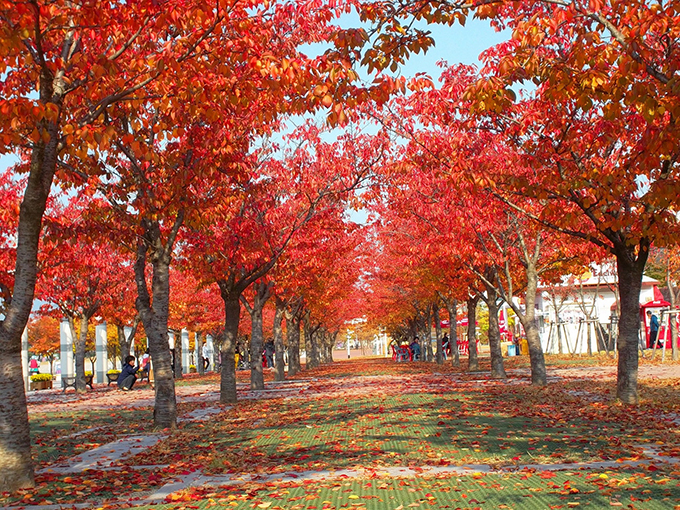 대구스타디움 서편 광장