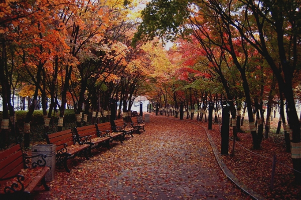 국채보상운동기념공원