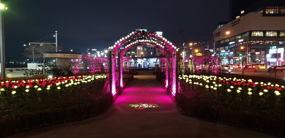 영일대 LED 장미원 개장