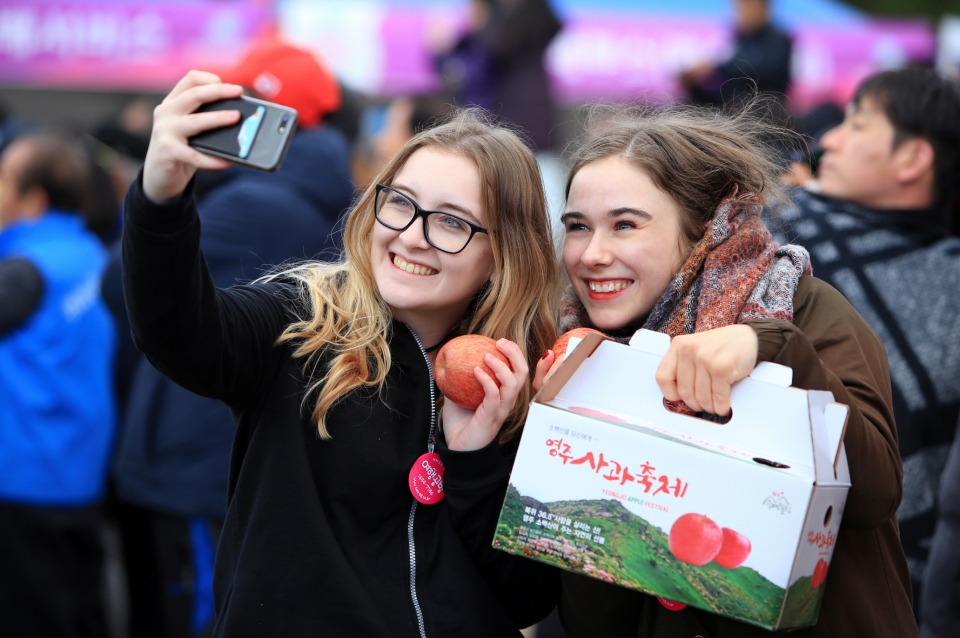 영주사과축제 외국인 관광객